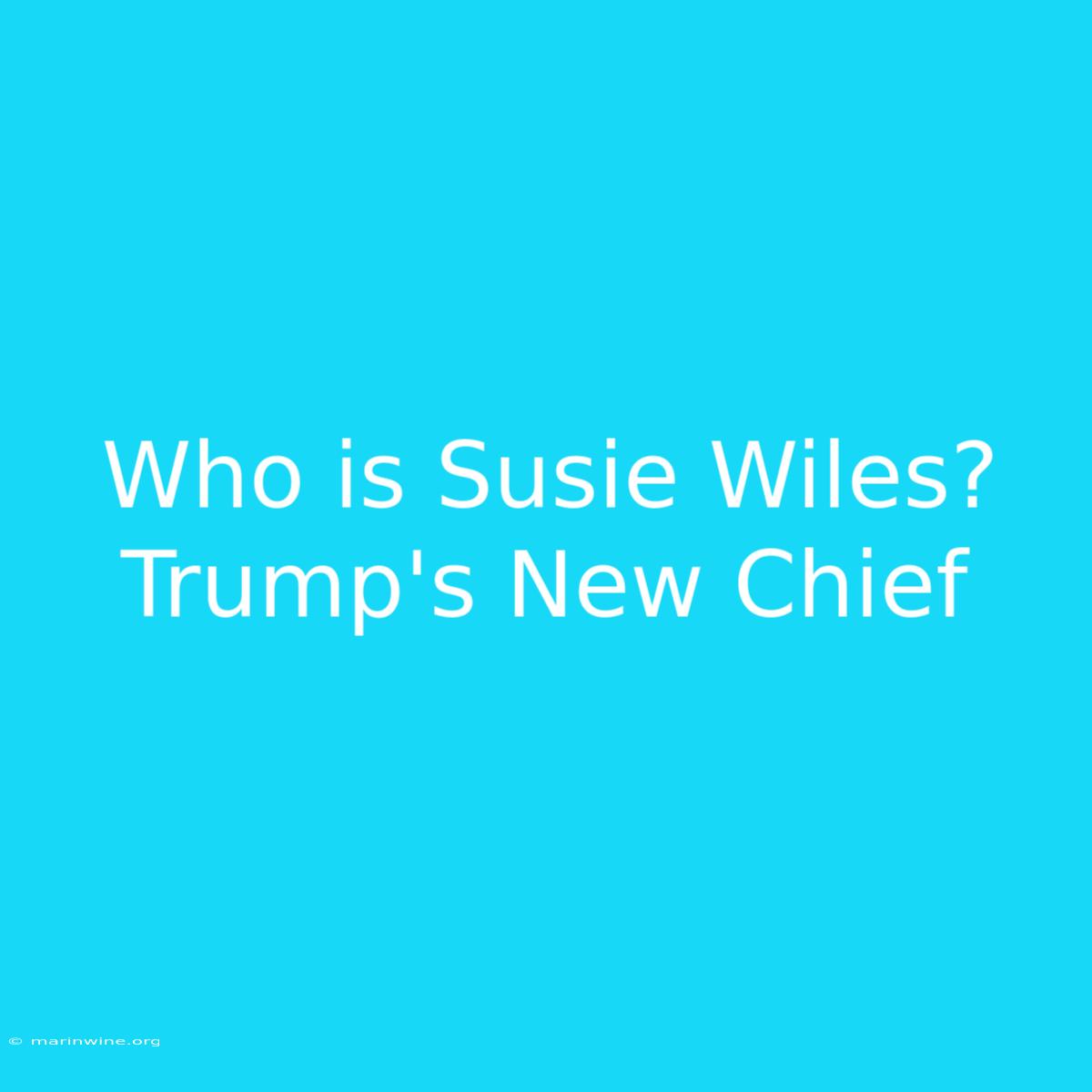 Who Is Susie Wiles? Trump's New Chief