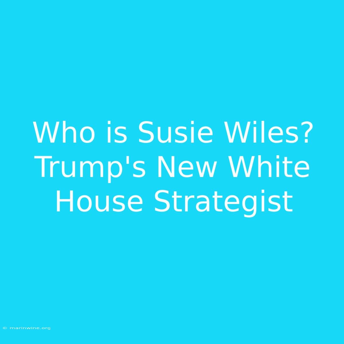 Who Is Susie Wiles? Trump's New White House Strategist