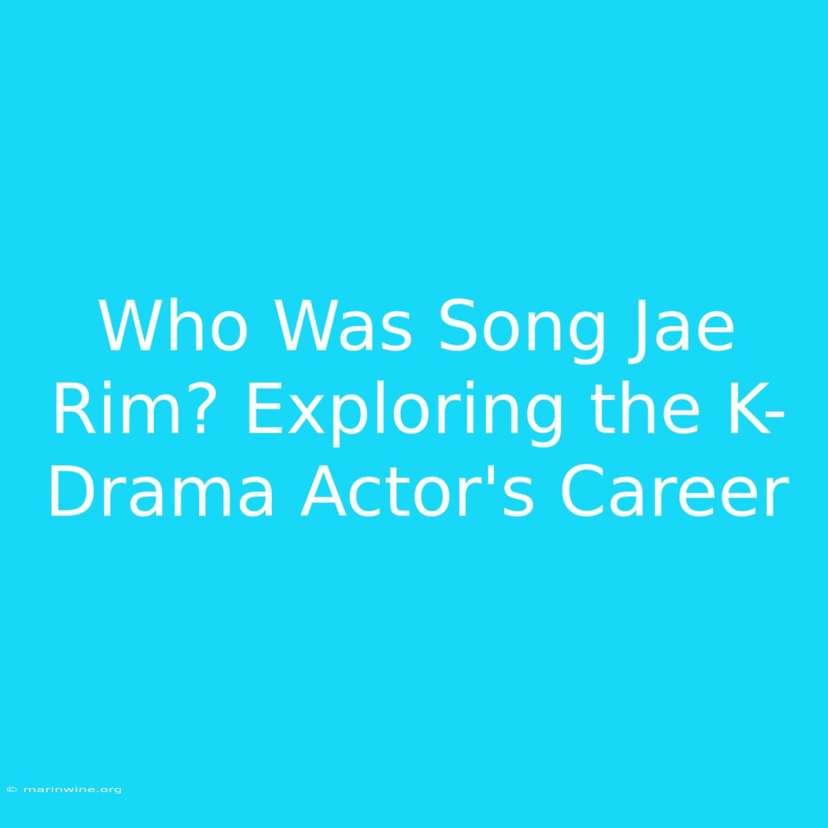 Who Was Song Jae Rim? Exploring The K-Drama Actor's Career 