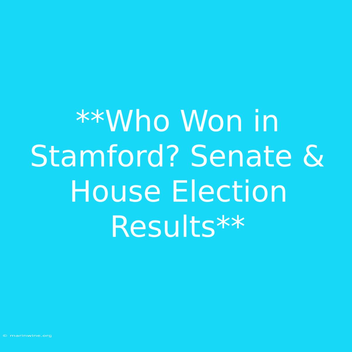 **Who Won In Stamford? Senate & House Election Results** 