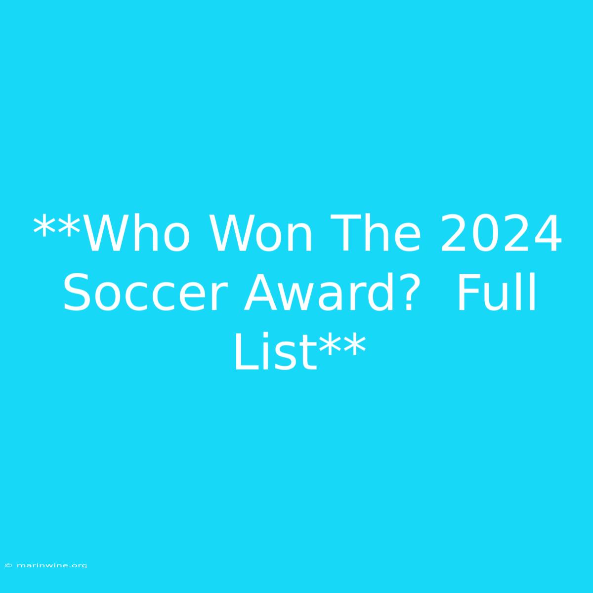 **Who Won The 2024 Soccer Award?  Full List**