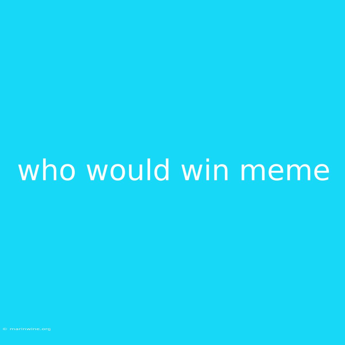 Who Would Win Meme