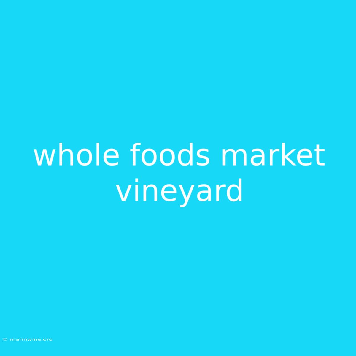 Whole Foods Market Vineyard