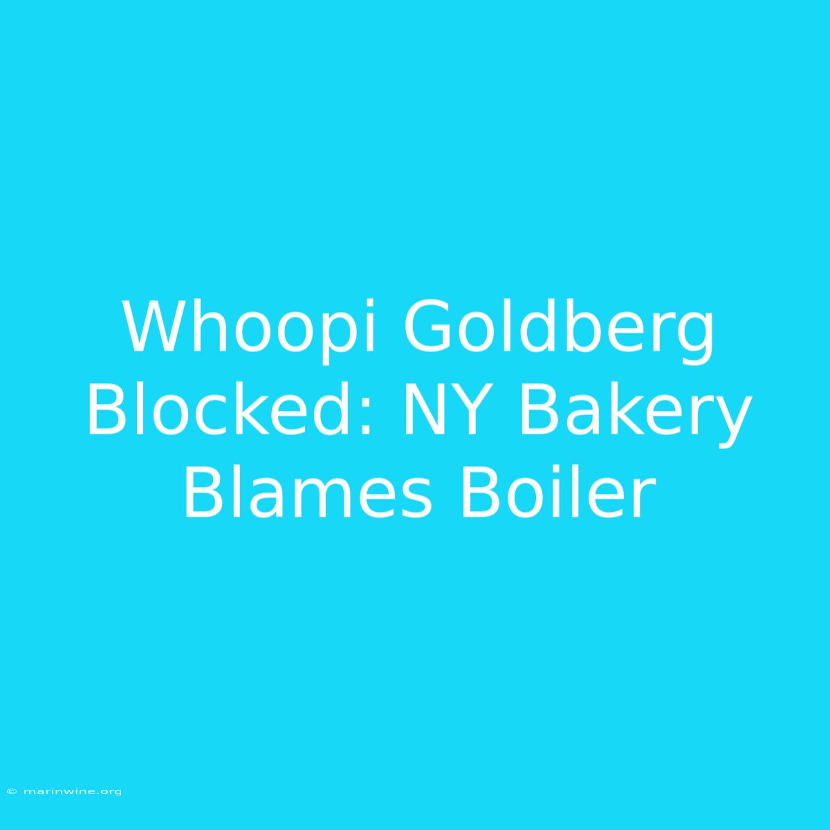 Whoopi Goldberg Blocked: NY Bakery Blames Boiler