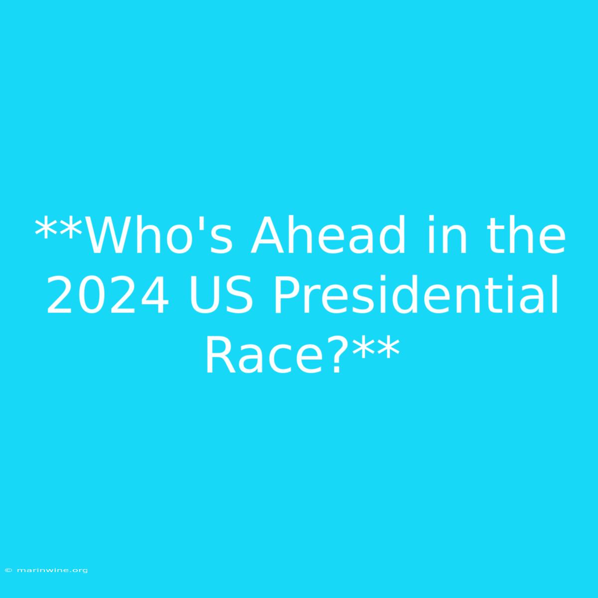 **Who's Ahead In The 2024 US Presidential Race?**