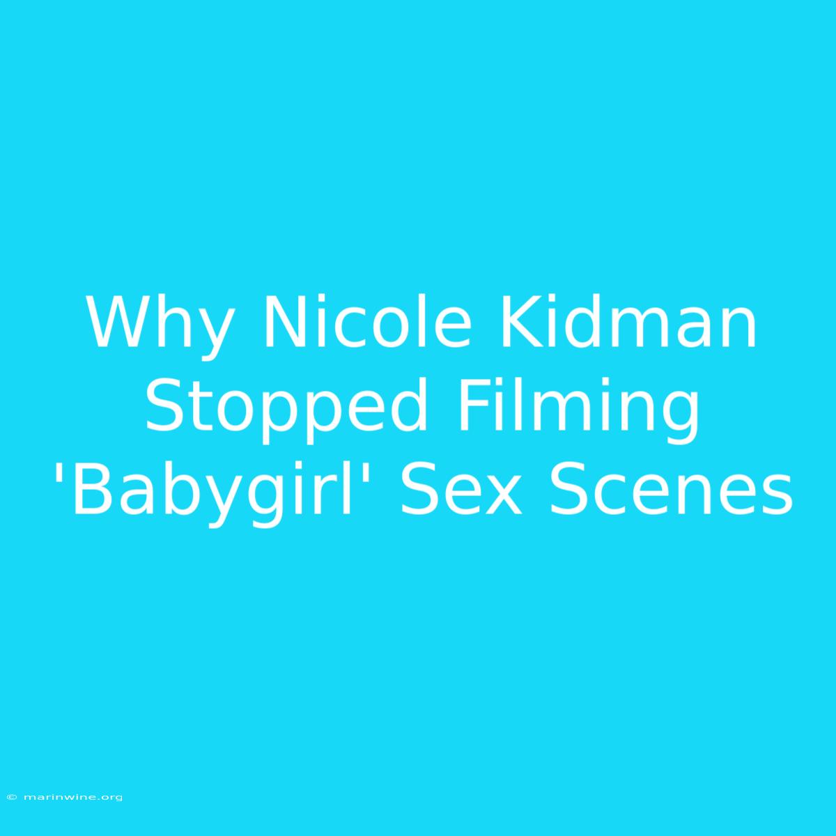 Why Nicole Kidman Stopped Filming 'Babygirl' Sex Scenes 