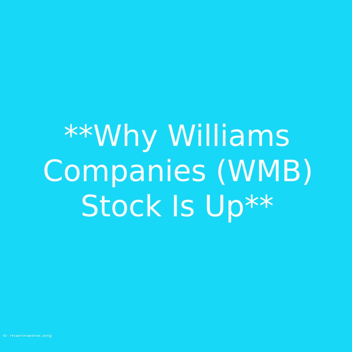 **Why Williams Companies (WMB) Stock Is Up** 