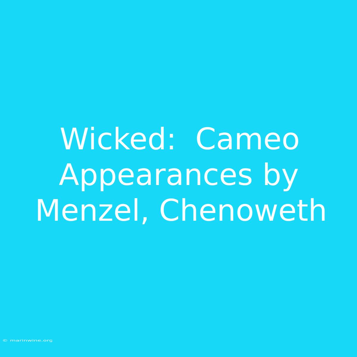 Wicked:  Cameo Appearances By Menzel, Chenoweth