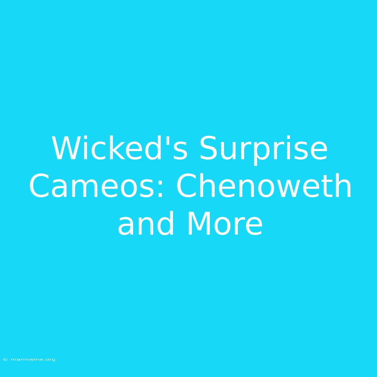 Wicked's Surprise Cameos: Chenoweth And More