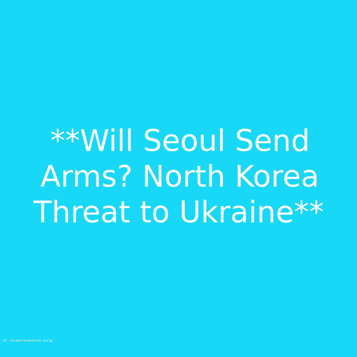 **Will Seoul Send Arms? North Korea Threat To Ukraine**