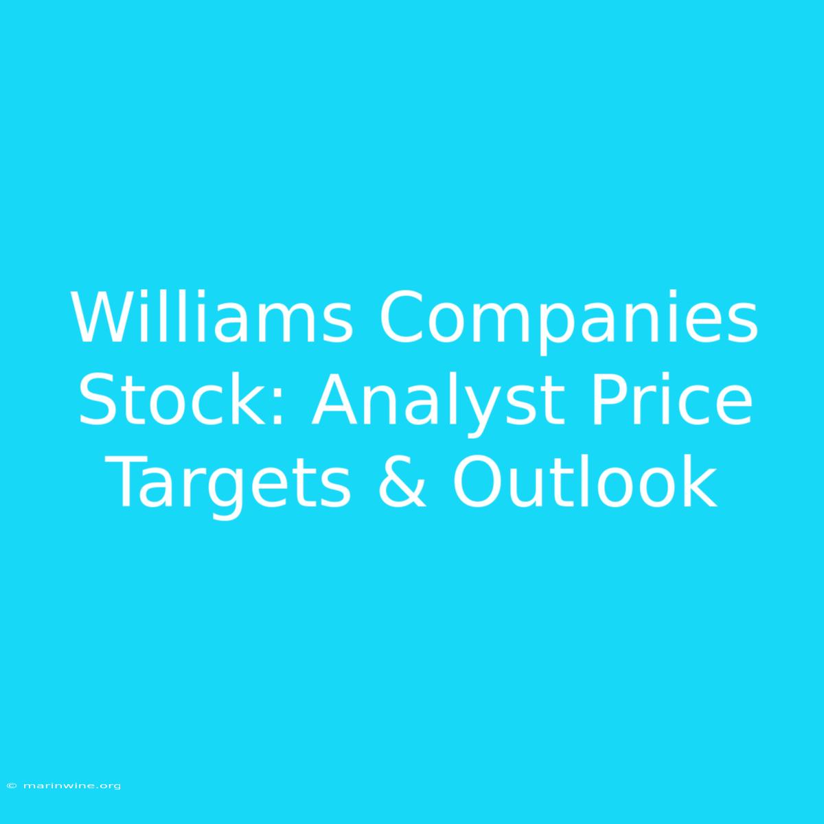 Williams Companies Stock: Analyst Price Targets & Outlook 