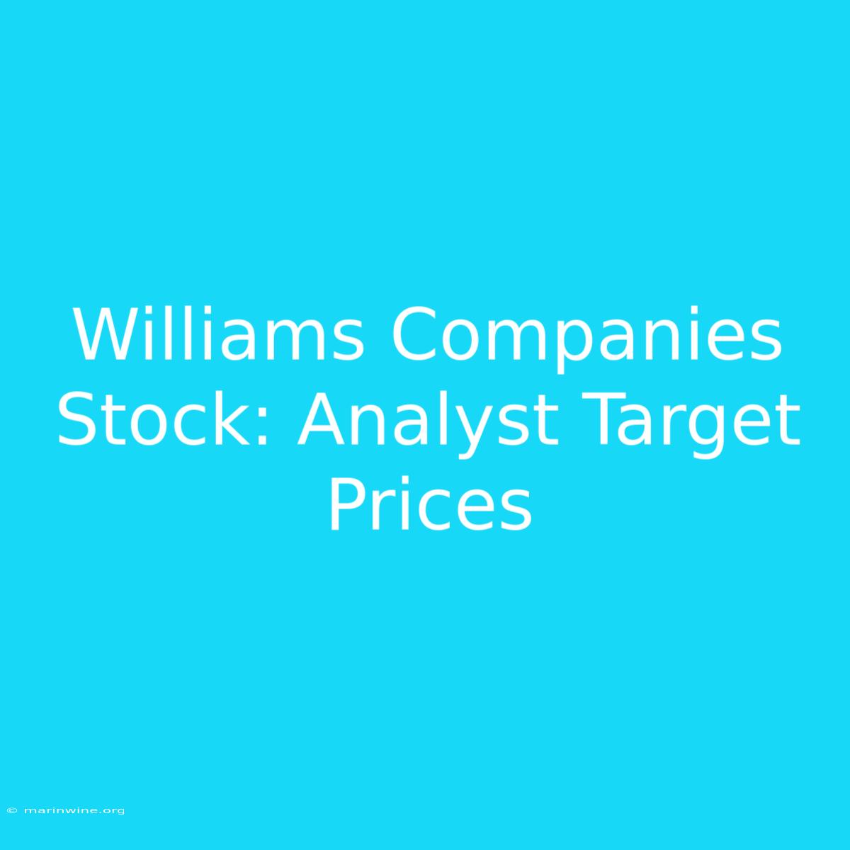 Williams Companies Stock: Analyst Target Prices