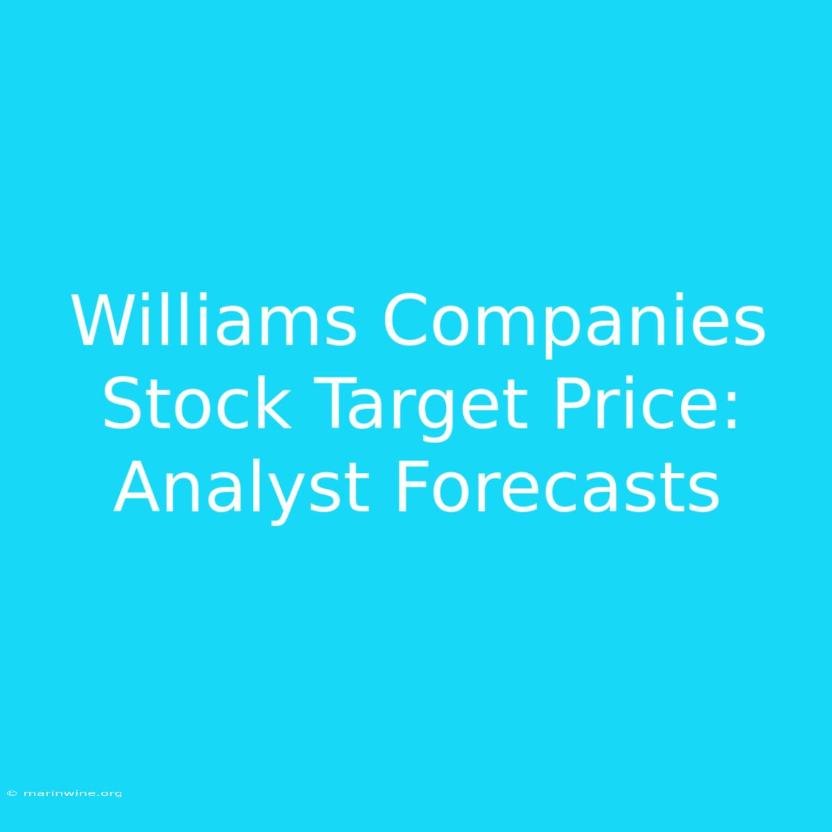 Williams Companies Stock Target Price: Analyst Forecasts