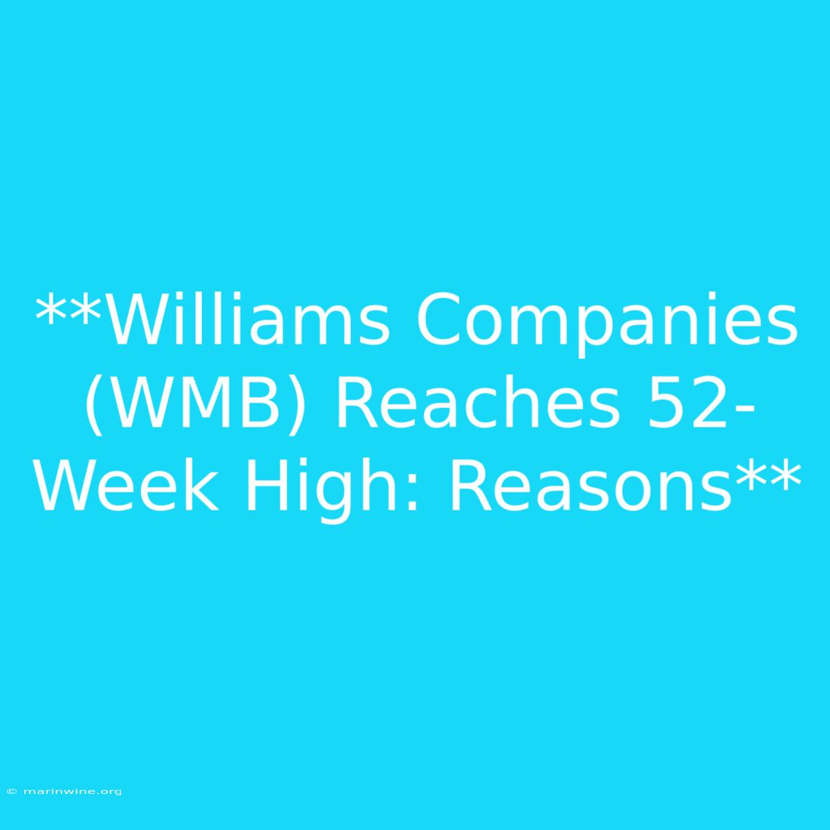 **Williams Companies (WMB) Reaches 52-Week High: Reasons**