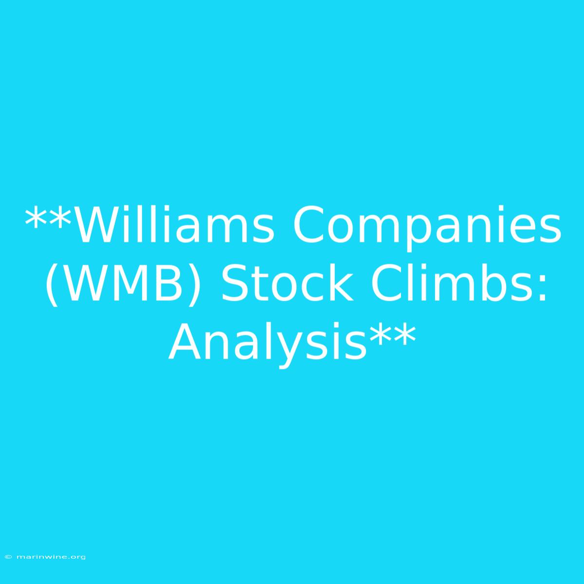 **Williams Companies (WMB) Stock Climbs: Analysis**