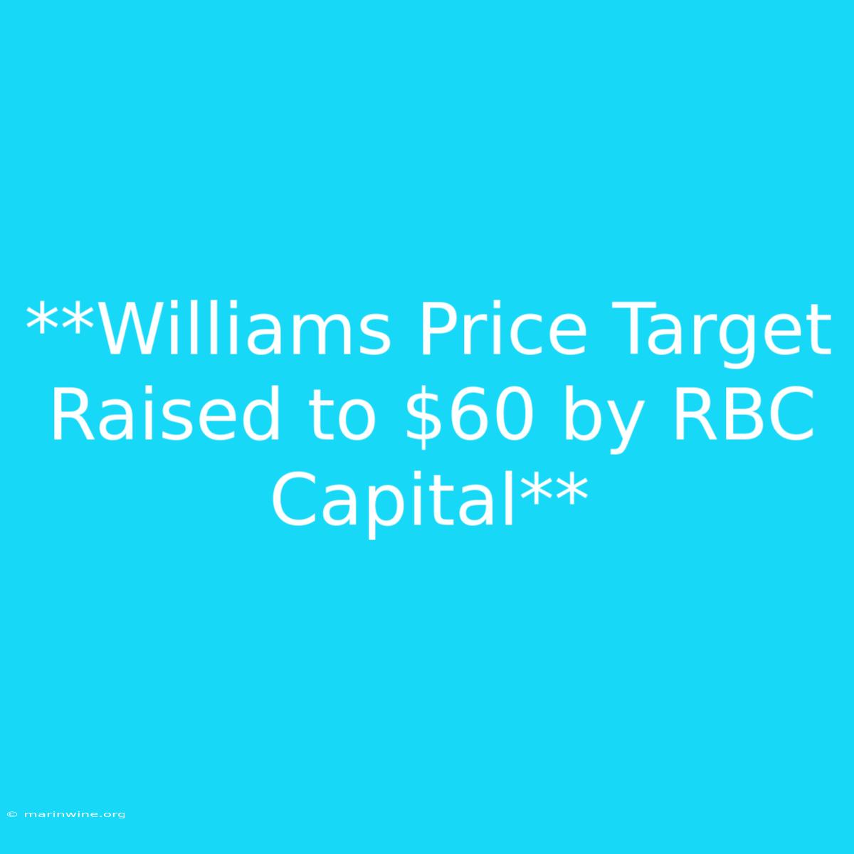 **Williams Price Target Raised To $60 By RBC Capital**