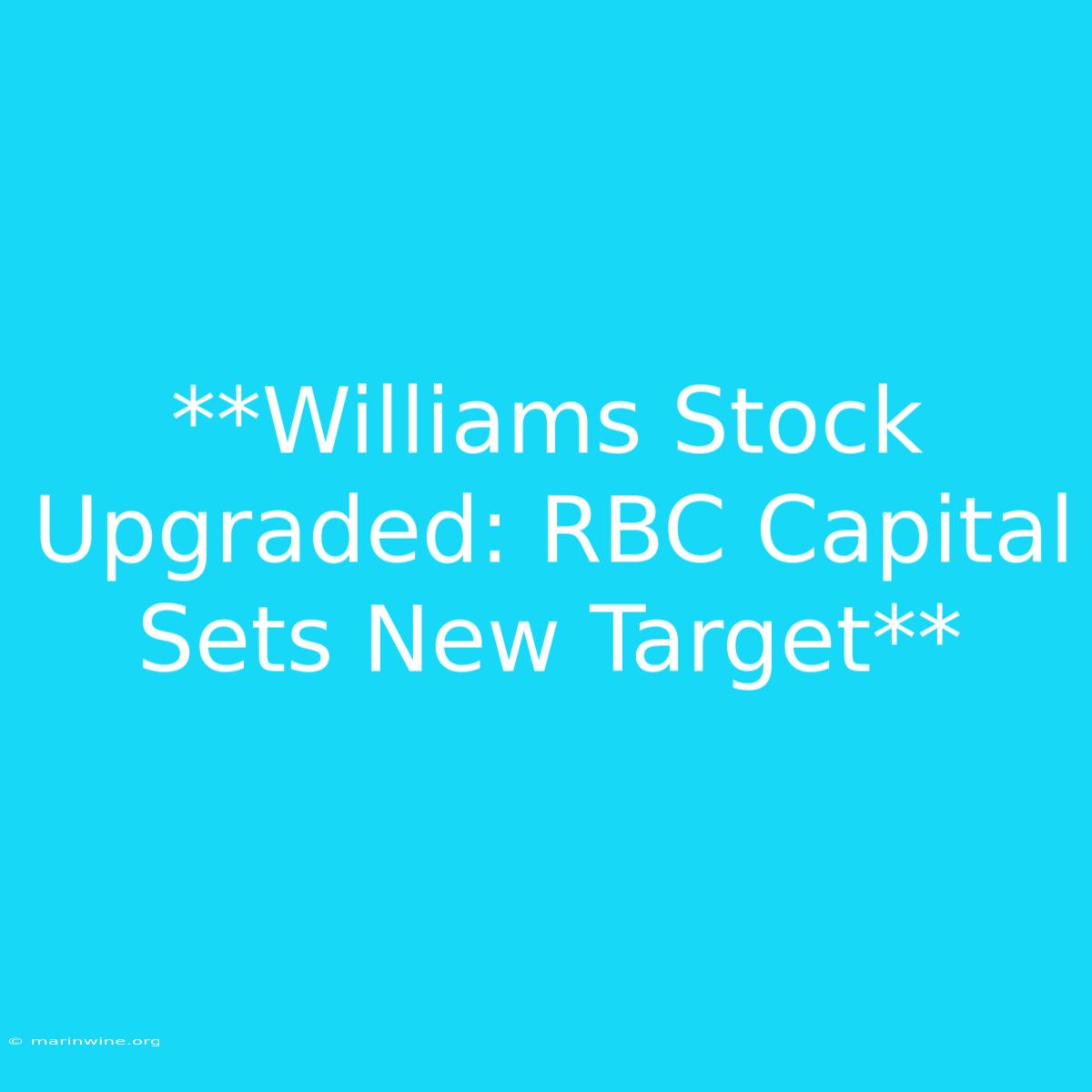 **Williams Stock Upgraded: RBC Capital Sets New Target** 