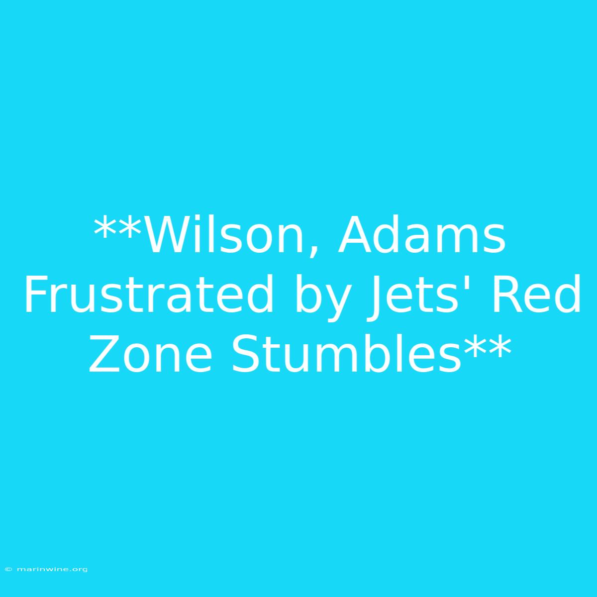 **Wilson, Adams Frustrated By Jets' Red Zone Stumbles**