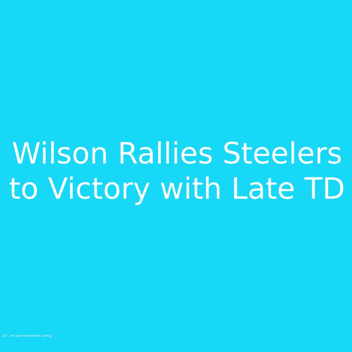 Wilson Rallies Steelers To Victory With Late TD