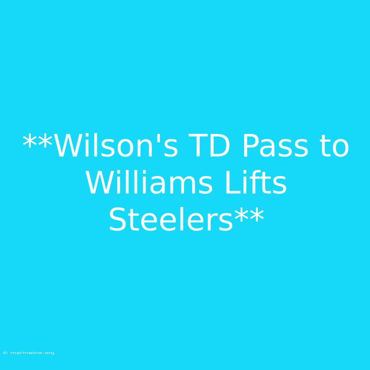 **Wilson's TD Pass To Williams Lifts Steelers**