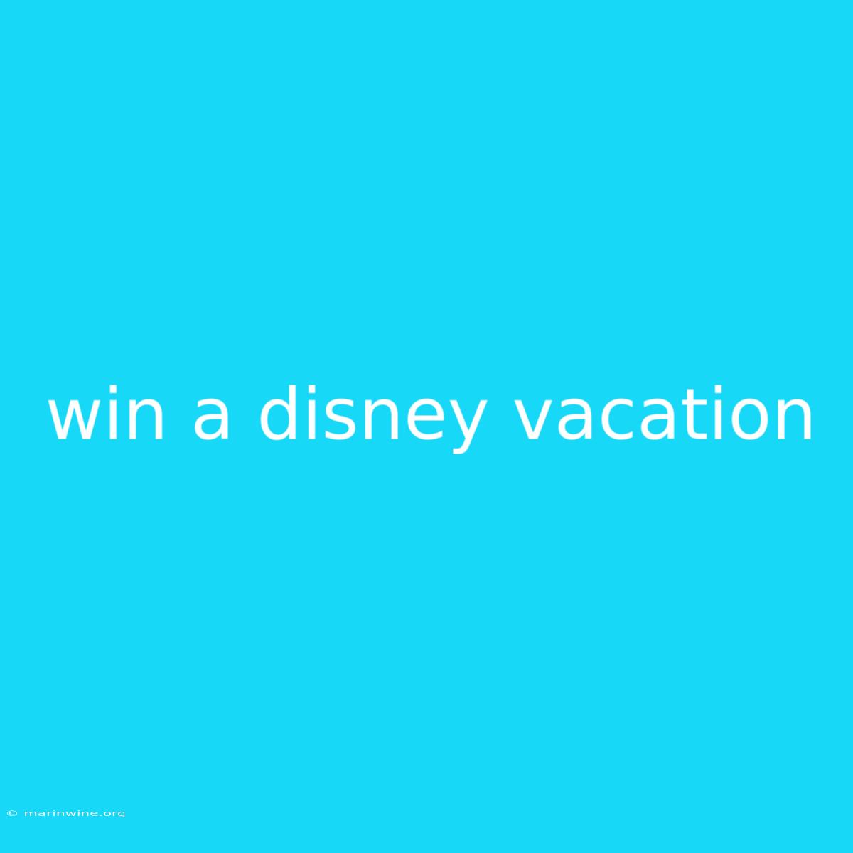 Win A Disney Vacation