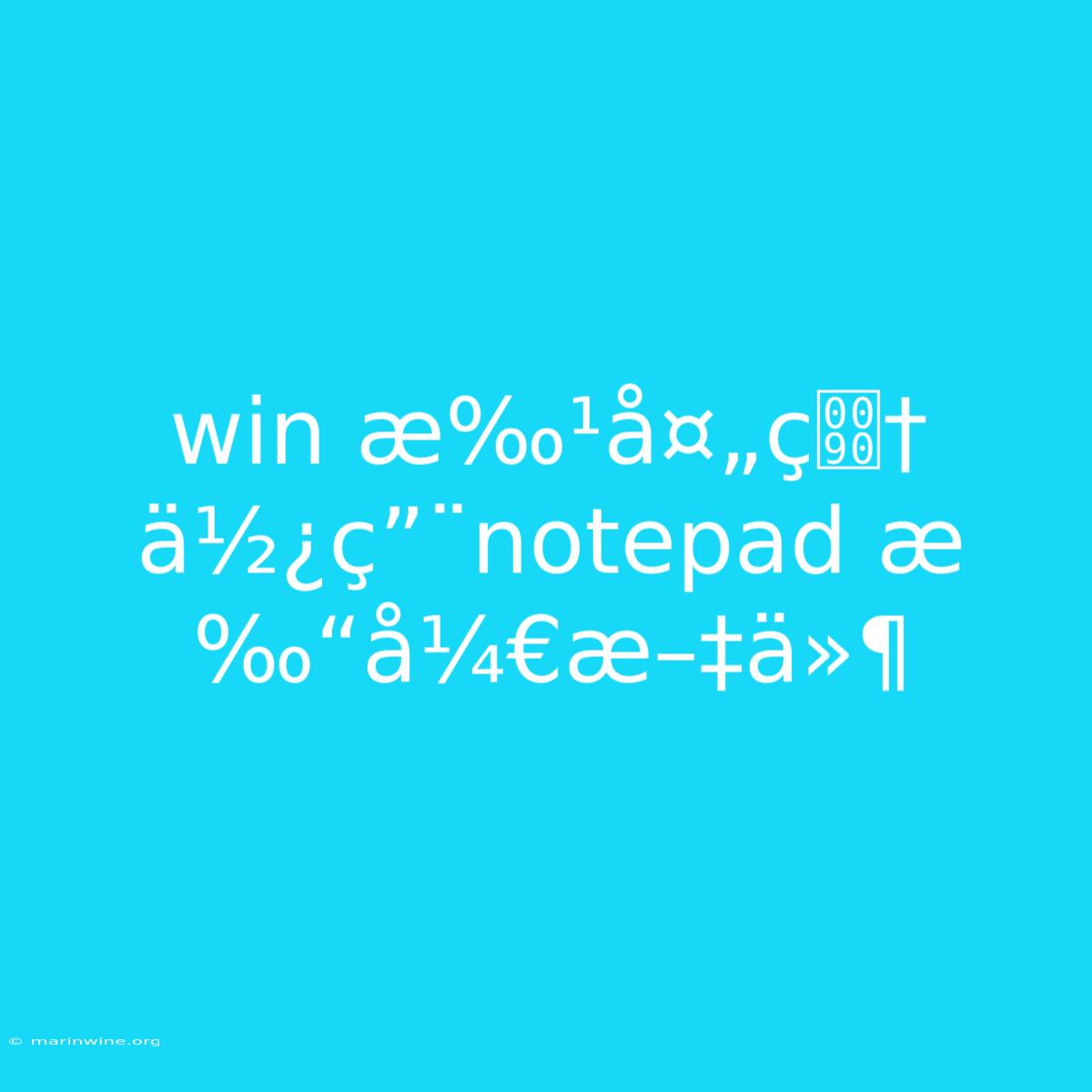 Win Æ‰¹å¤„ç† Ä½¿ç”¨notepad Æ‰“å¼€æ–‡ä»¶