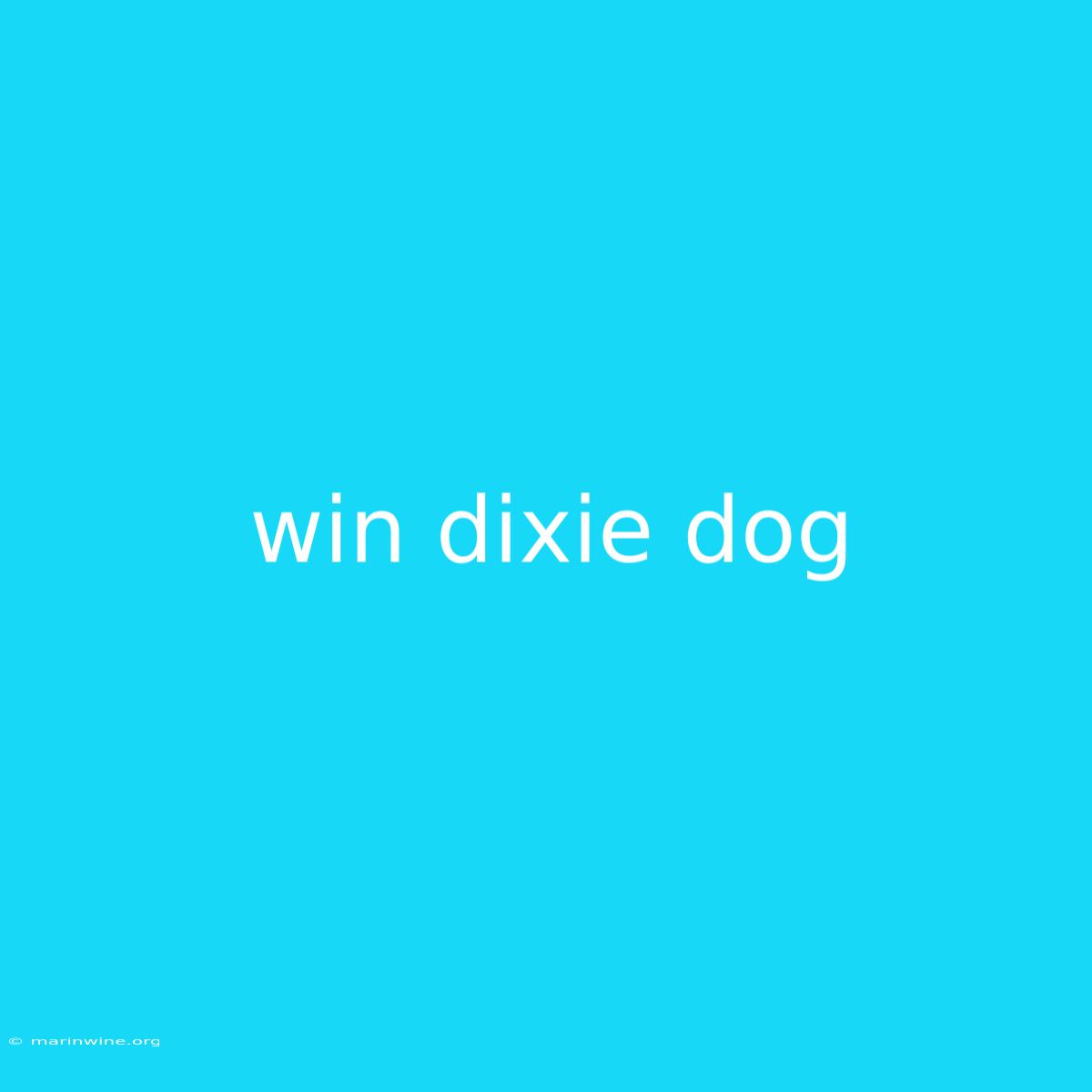 Win Dixie Dog