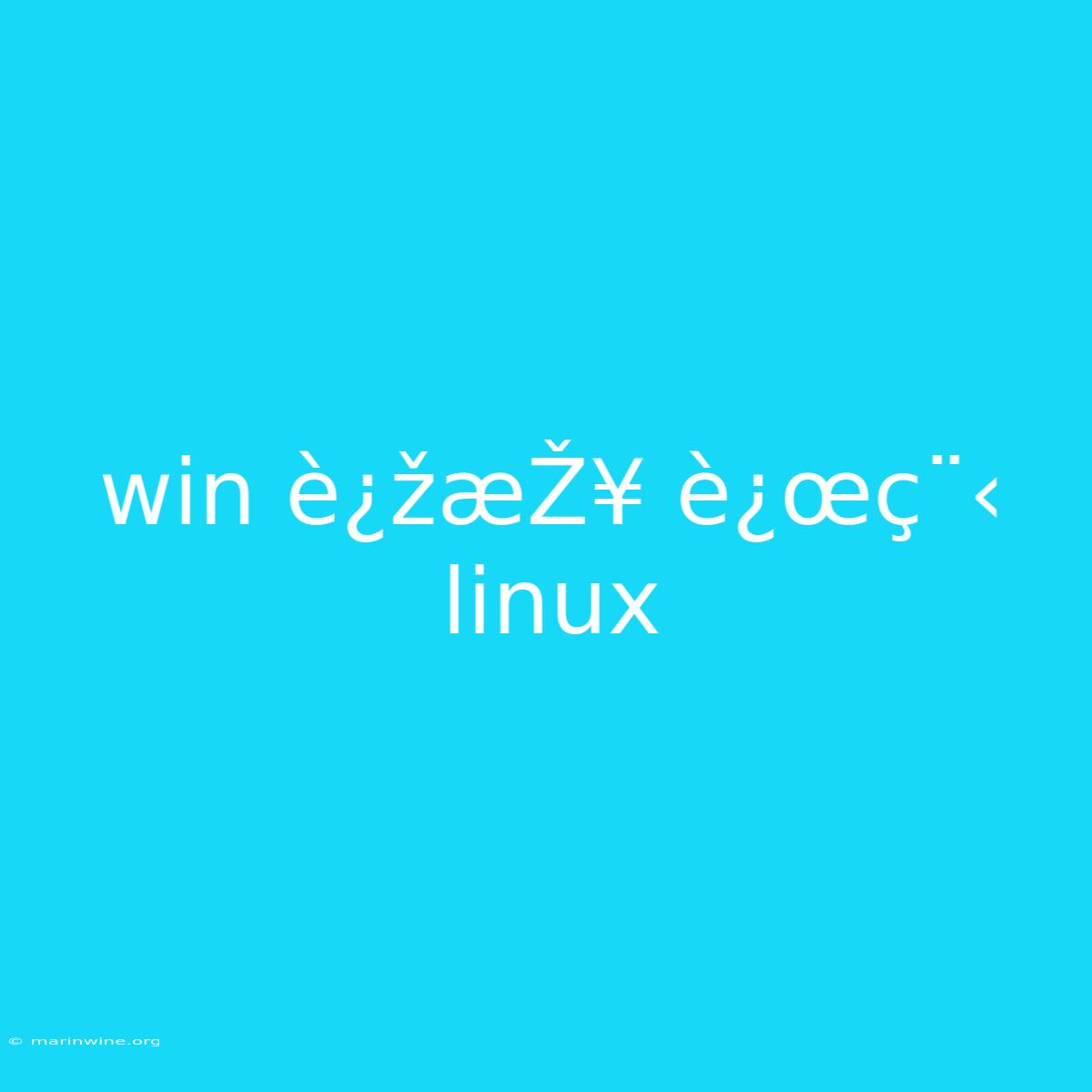 Win È¿žæŽ¥ È¿œç¨‹ Linux