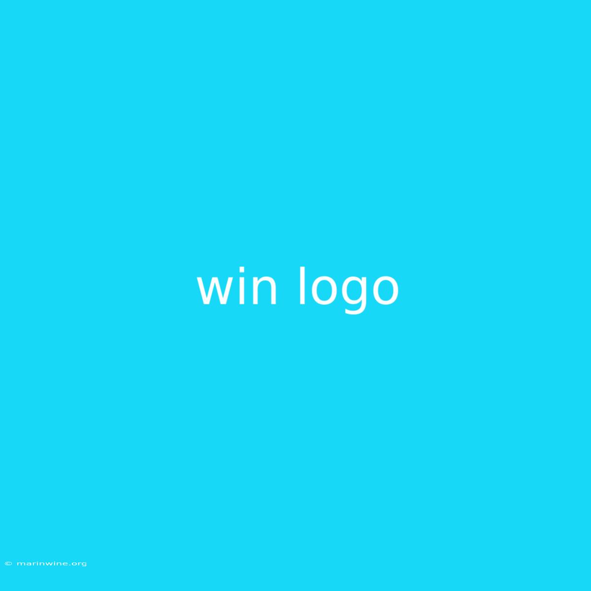 Win Logo