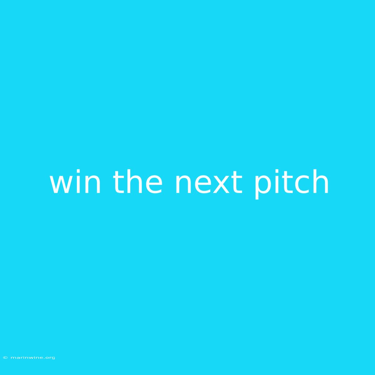 Win The Next Pitch