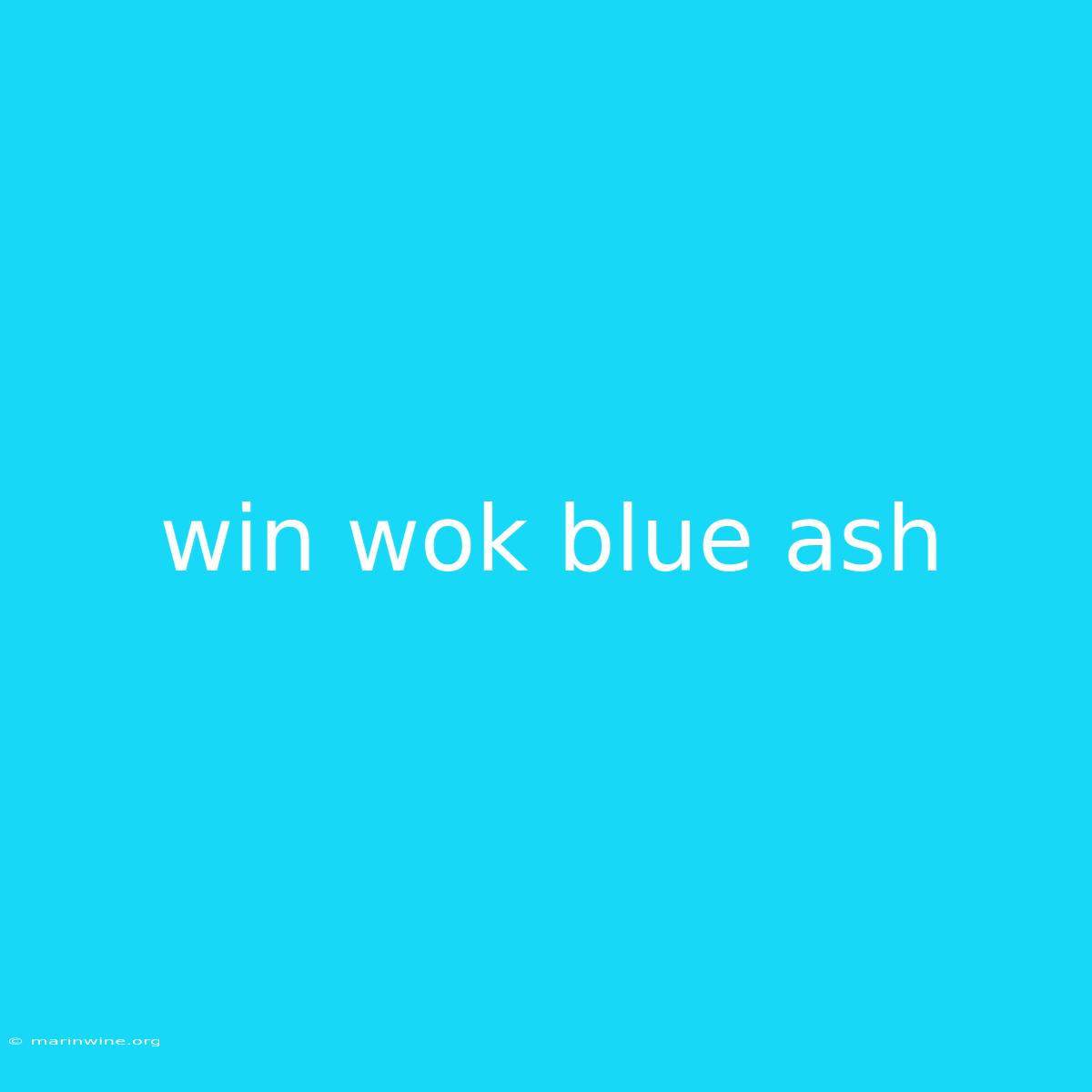 Win Wok Blue Ash