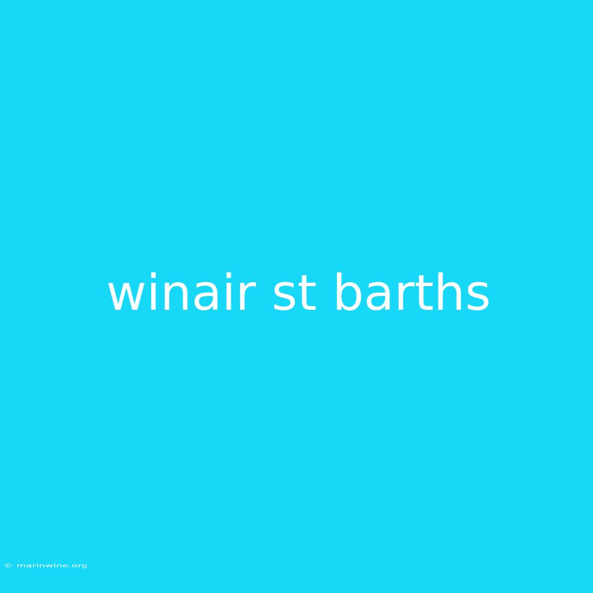 Winair St Barths