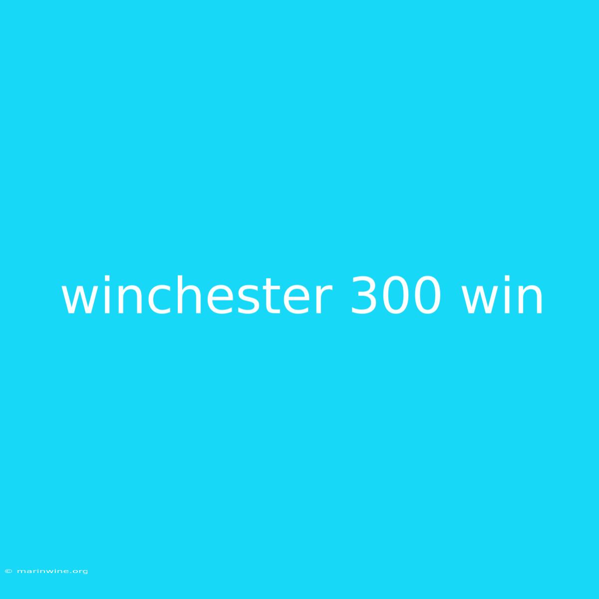 Winchester 300 Win