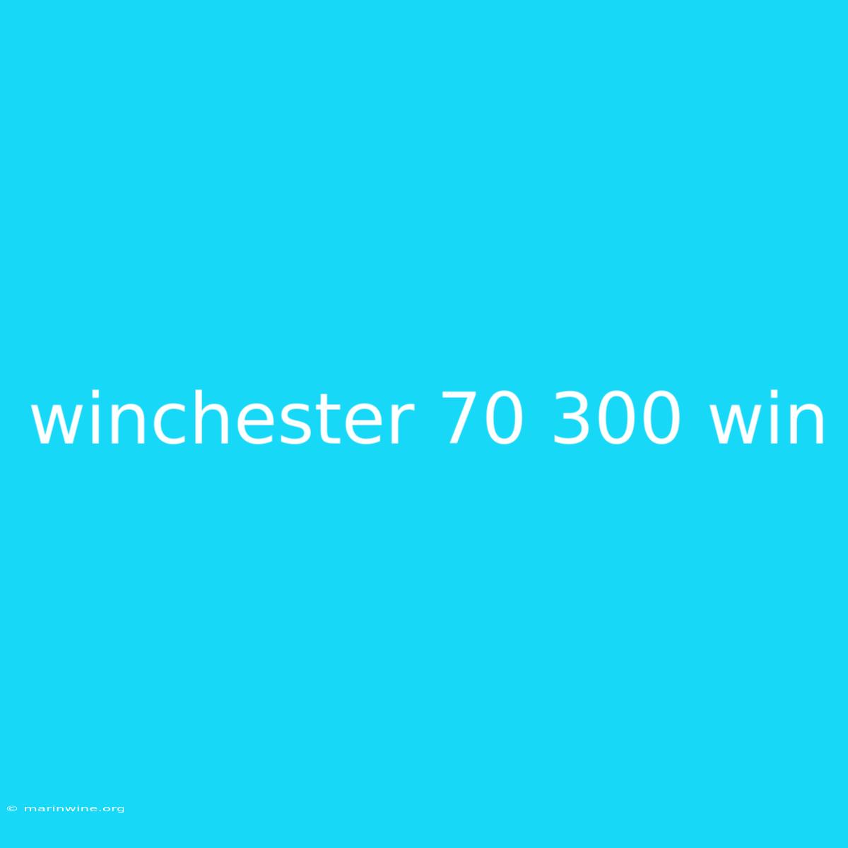 Winchester 70 300 Win