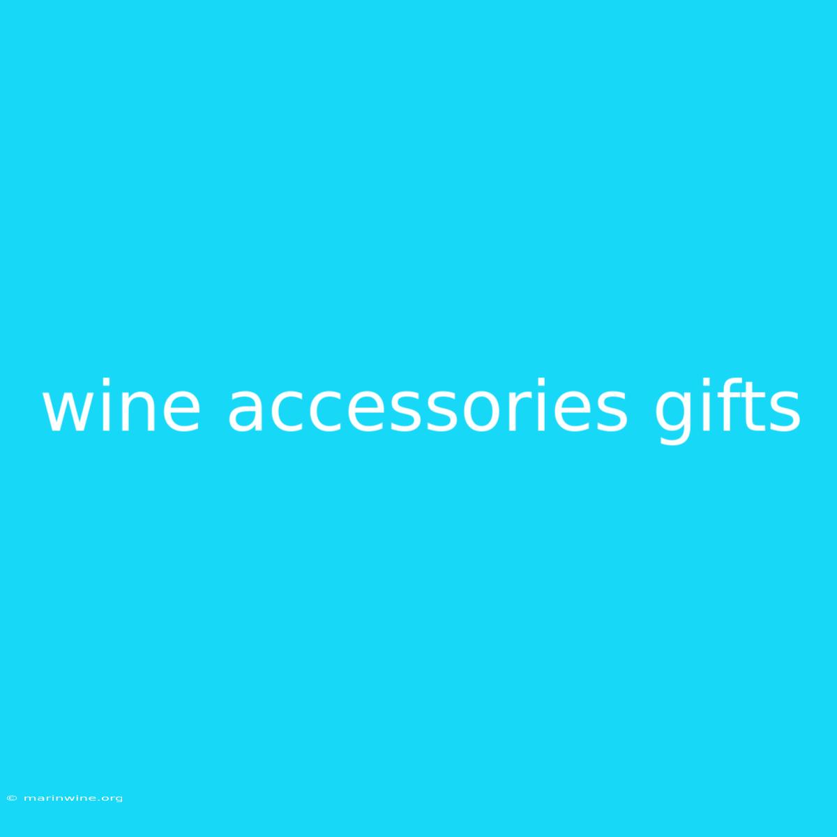 Wine Accessories Gifts