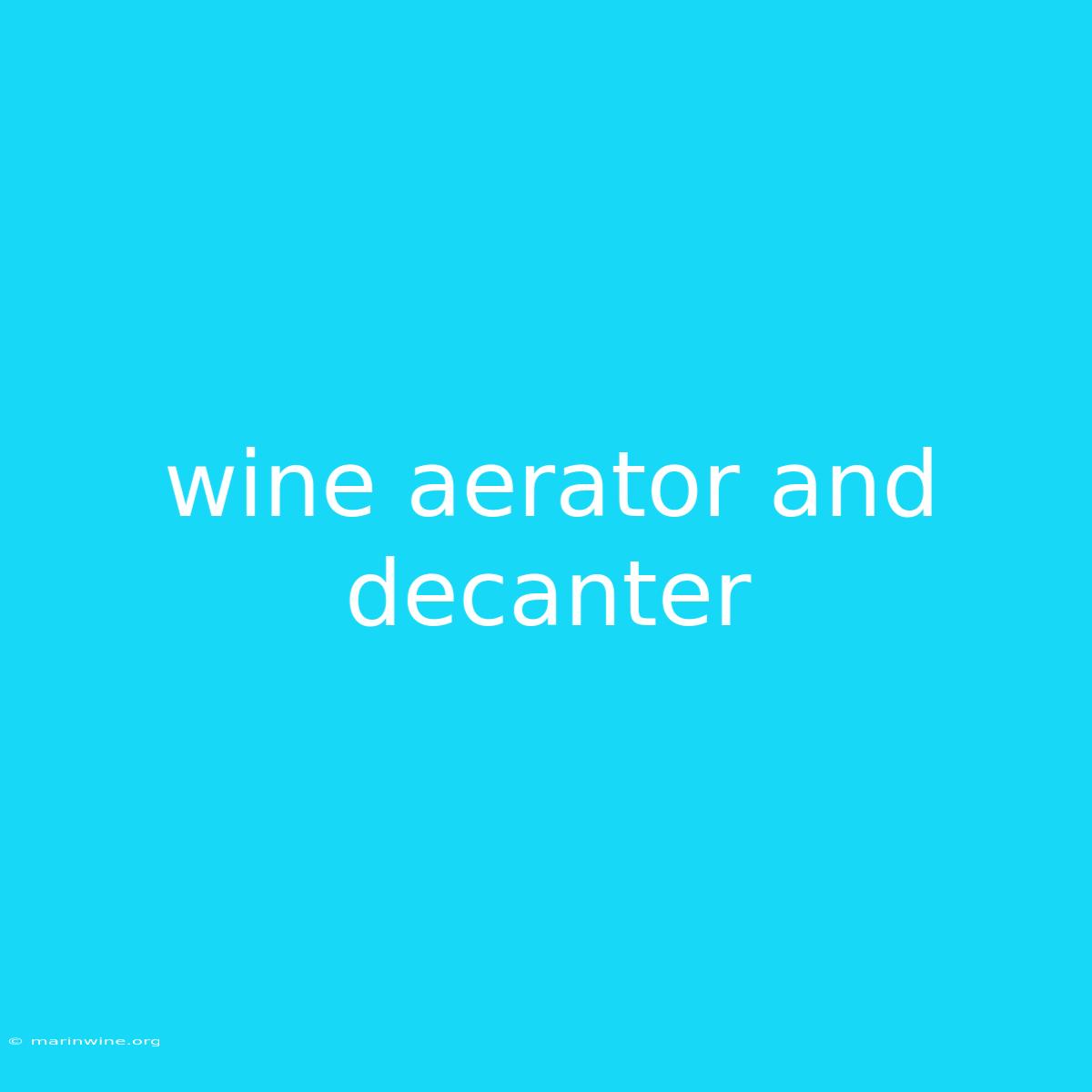 Wine Aerator And Decanter