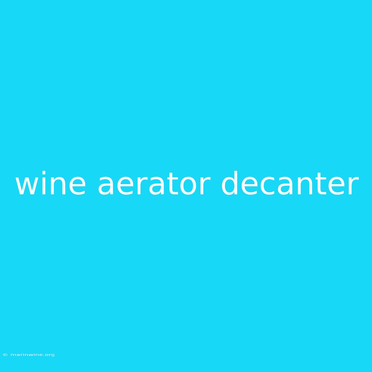 Wine Aerator Decanter