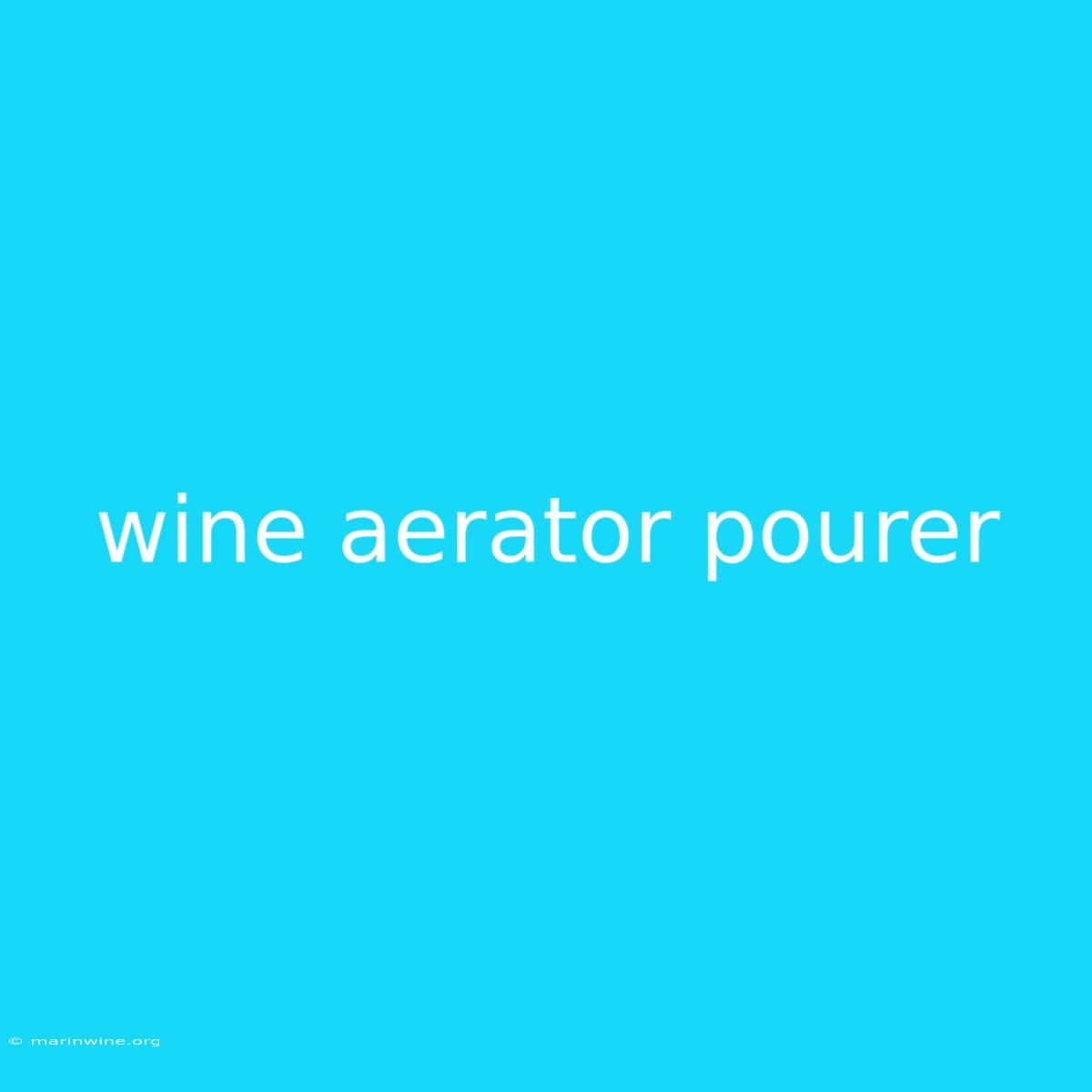 Wine Aerator Pourer