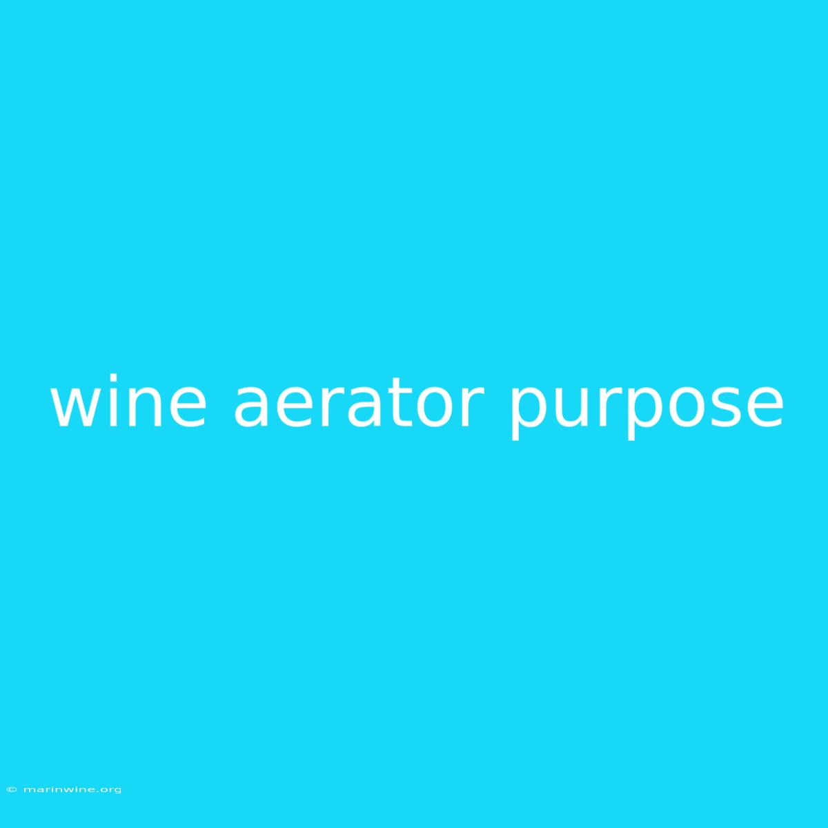 Wine Aerator Purpose