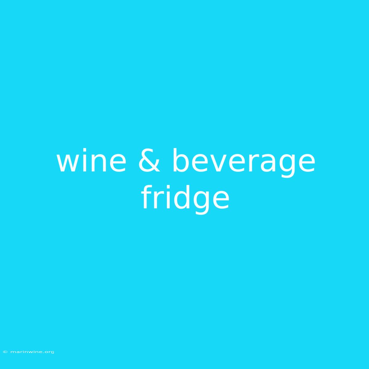 Wine & Beverage Fridge