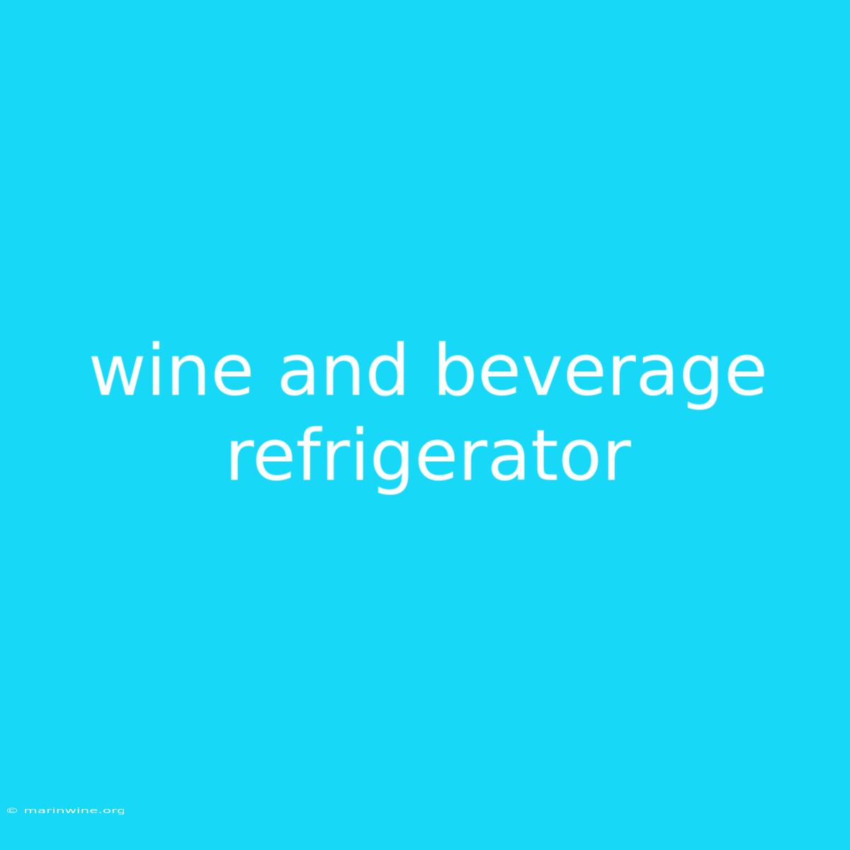 Wine And Beverage Refrigerator