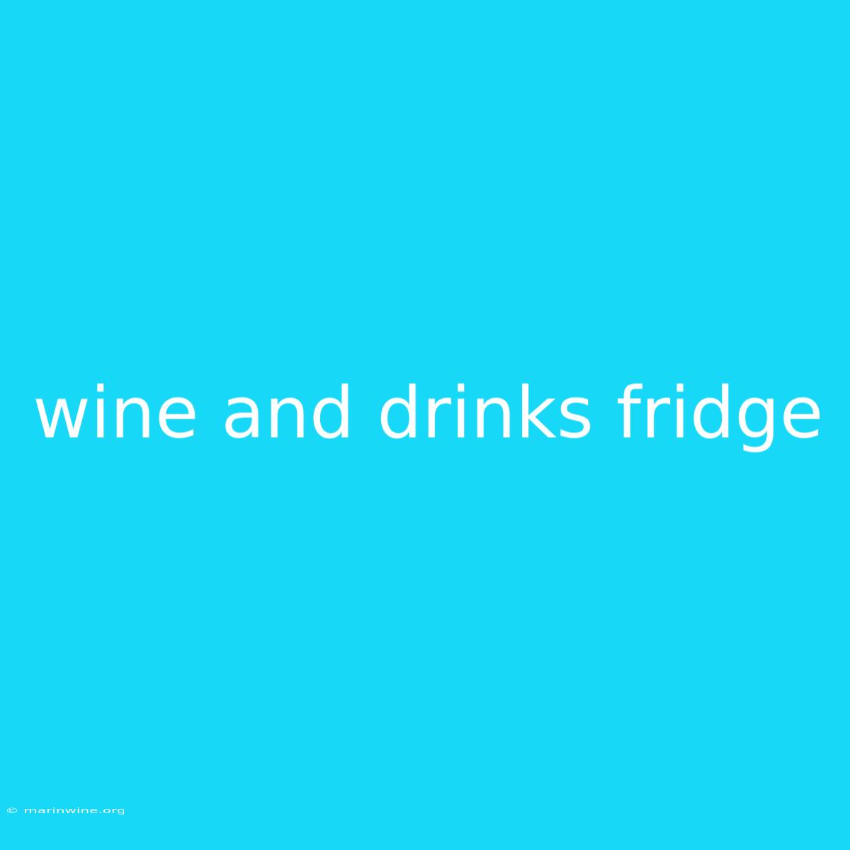 Wine And Drinks Fridge