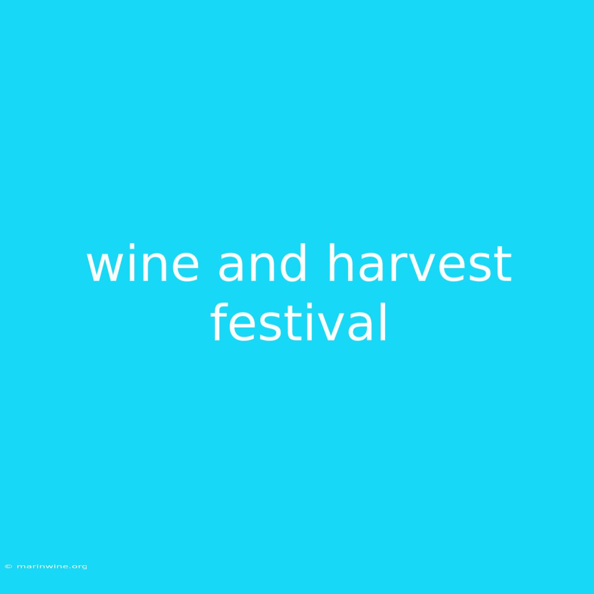 Wine And Harvest Festival