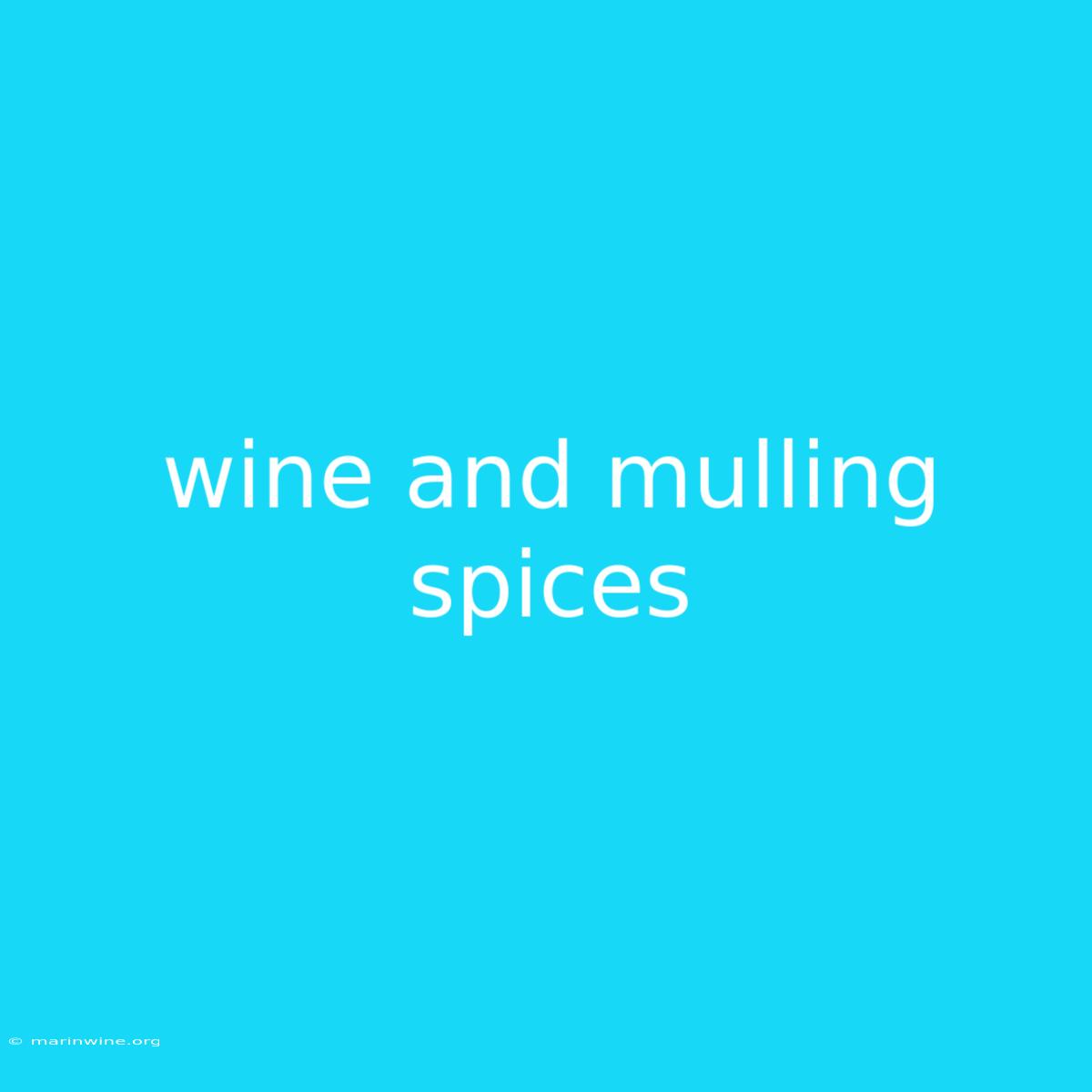 Wine And Mulling Spices