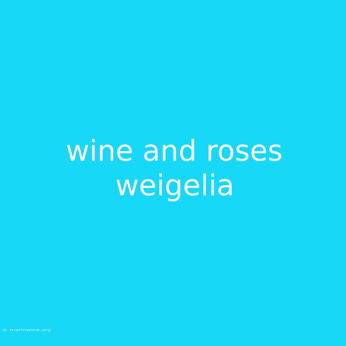 Wine And Roses Weigelia