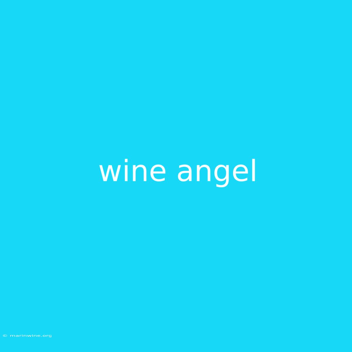 Wine Angel