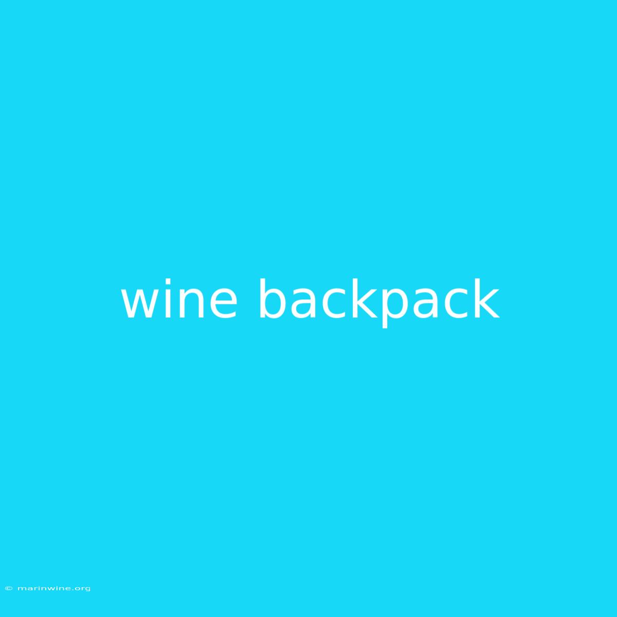 Wine Backpack