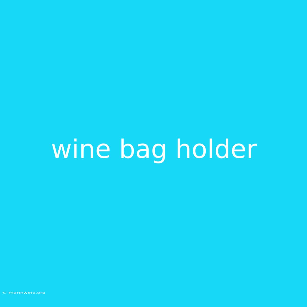 Wine Bag Holder