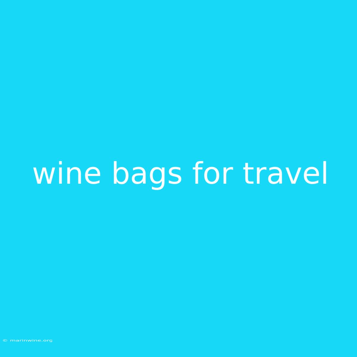 Wine Bags For Travel