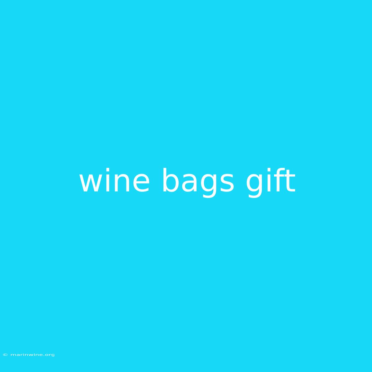 Wine Bags Gift